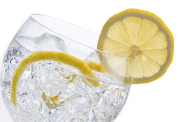 Caprisius Gin Special Edition type ”London Dry Gin” smagen af en tidløs klassiker